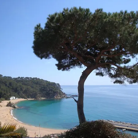 Azul Lloret de Mar
